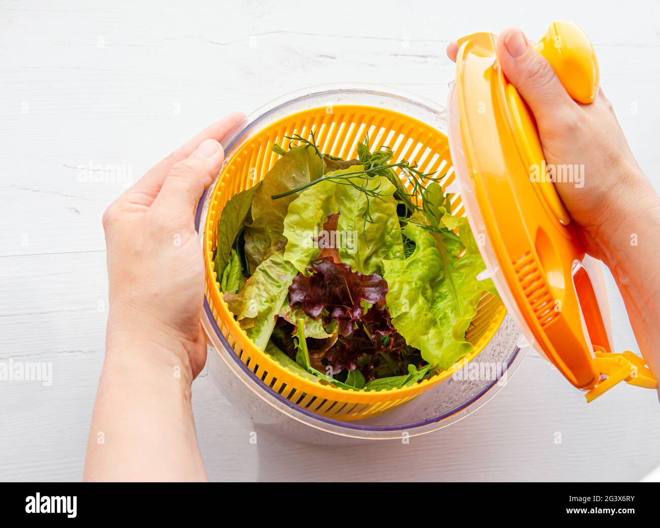 Vista superior de las manos de la mujer sosteniendo y secando la ensalada en el recipiente de la herramienta del ojal, verdes frondosos sanos adentro. Forma cómoda de lavar y secar ensalada. Foto de stock