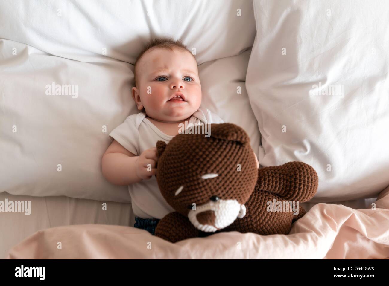 fondo digital recién nacido bebé niña niño niño oso de peluche osos teddies