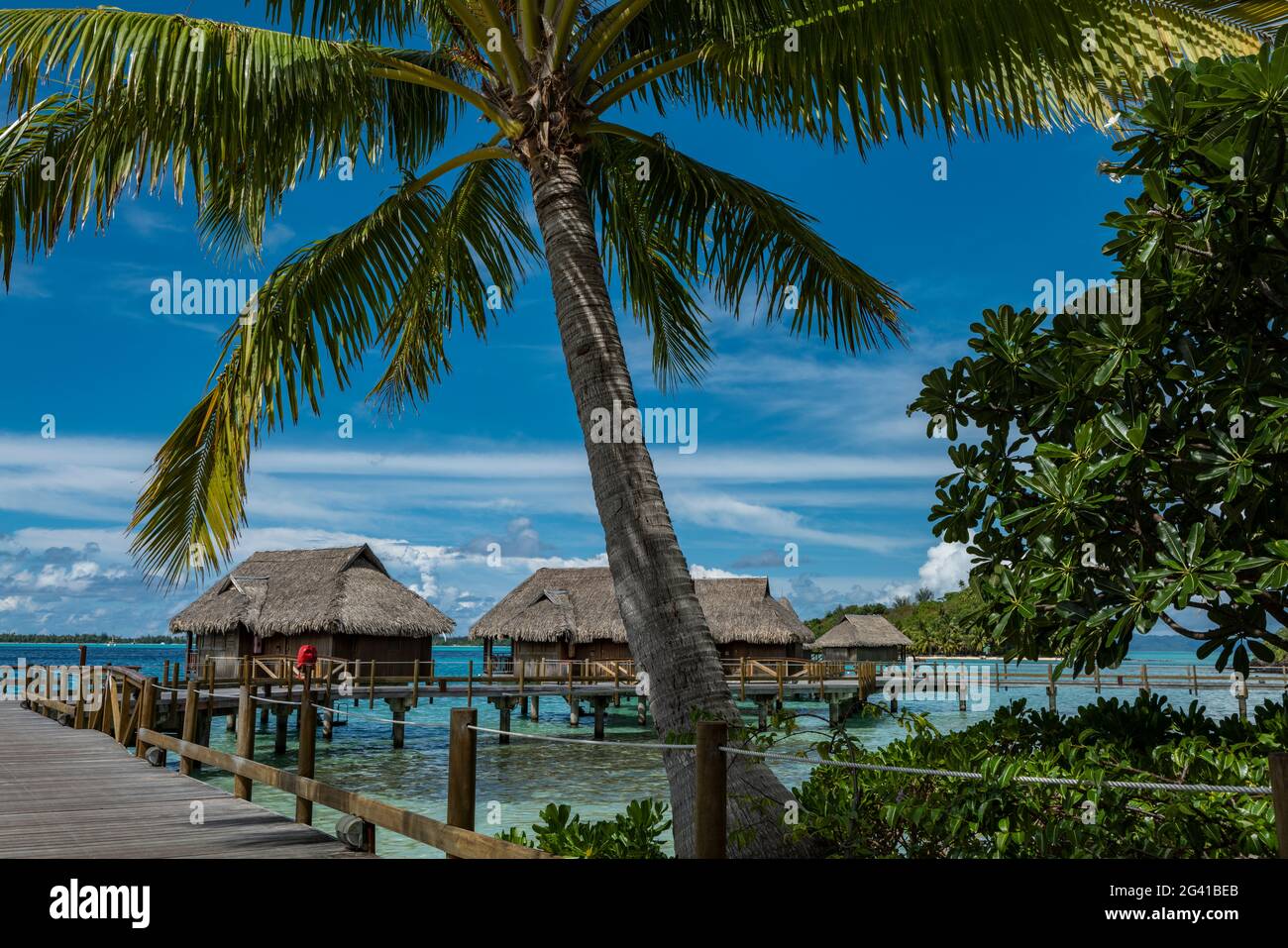 Bungalows sobre el agua y la palma de coco en el Sofitel Bora Bora Private Island Resort, Bora Bora, Islas Leeward, Polinesia Francesa, Pacífico Sur Foto de stock