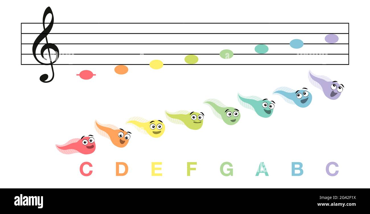 Notas musicales C escala mayor con coloridos cantos graciosos tadcañas, clave de C - ilustración cómica en blanco. Foto de stock
