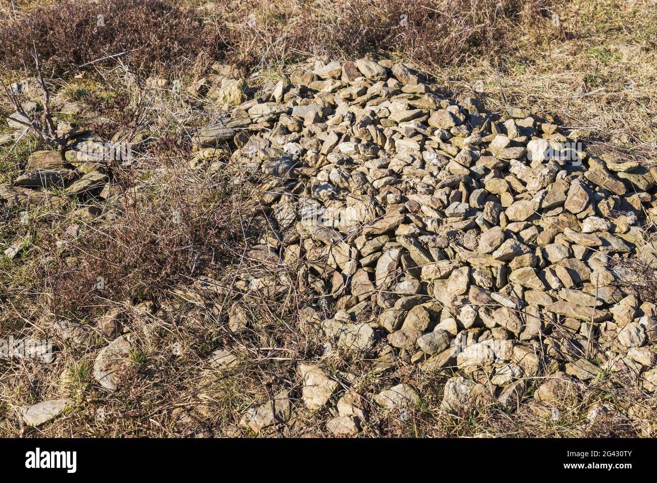 Durante mucho tiempo recolectó piedras de lectura de los gneis en un borde de campo en el Galgenberg cerca de Kupferber Foto de stock