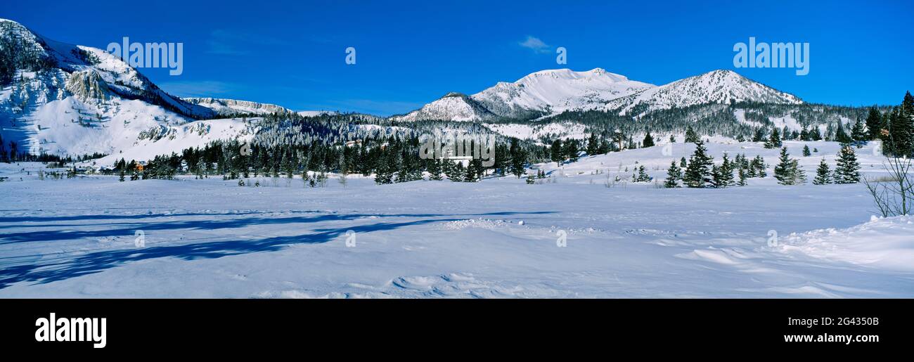 Mammoth Mountain en nieve fresca, Sierra Nevada, California, Estados Unidos Foto de stock