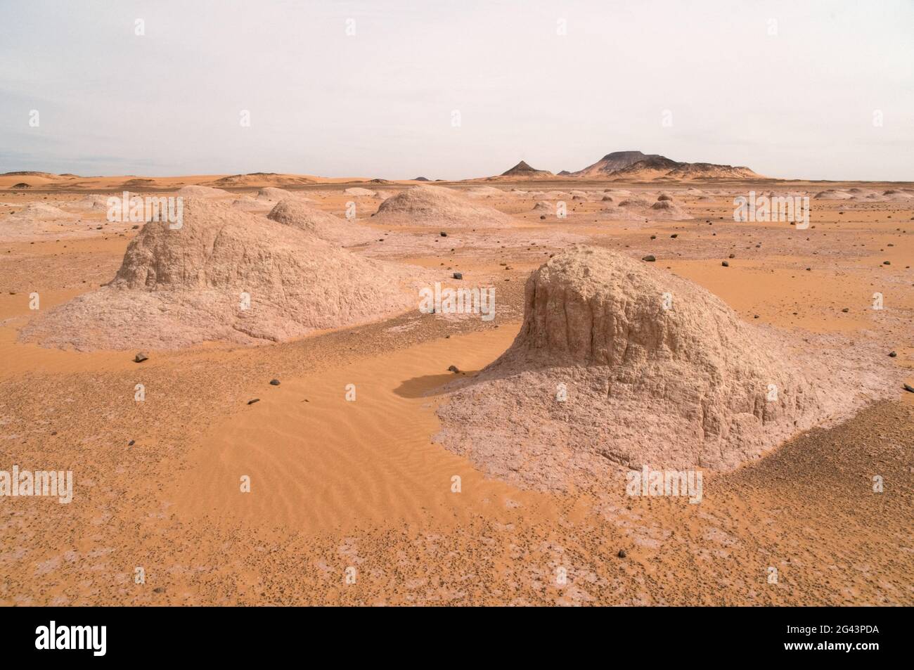 Montículos de yardang erosionados ubicados en la región del desierto occidental del Sáhara, en el suroeste de Egipto. Foto de stock