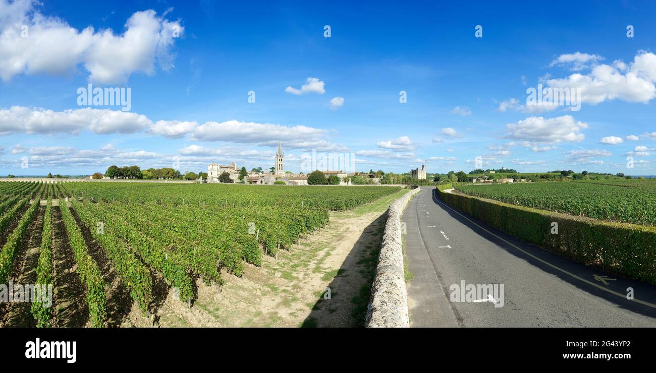 Viñedo y carretera, Saint-Emilion, Gironda, Nouvelle-Aquitaine, Francia Foto de stock