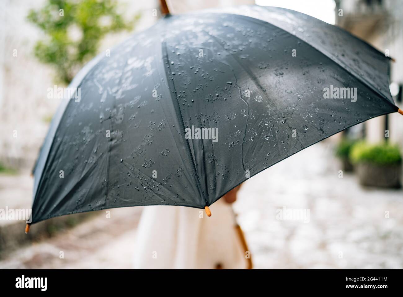 El niño posará con un paraguas. Una niña pequeña en un vestido se encuentra  fuera bajo un paraguas negro durante la lluvia Fotografía de stock - Alamy