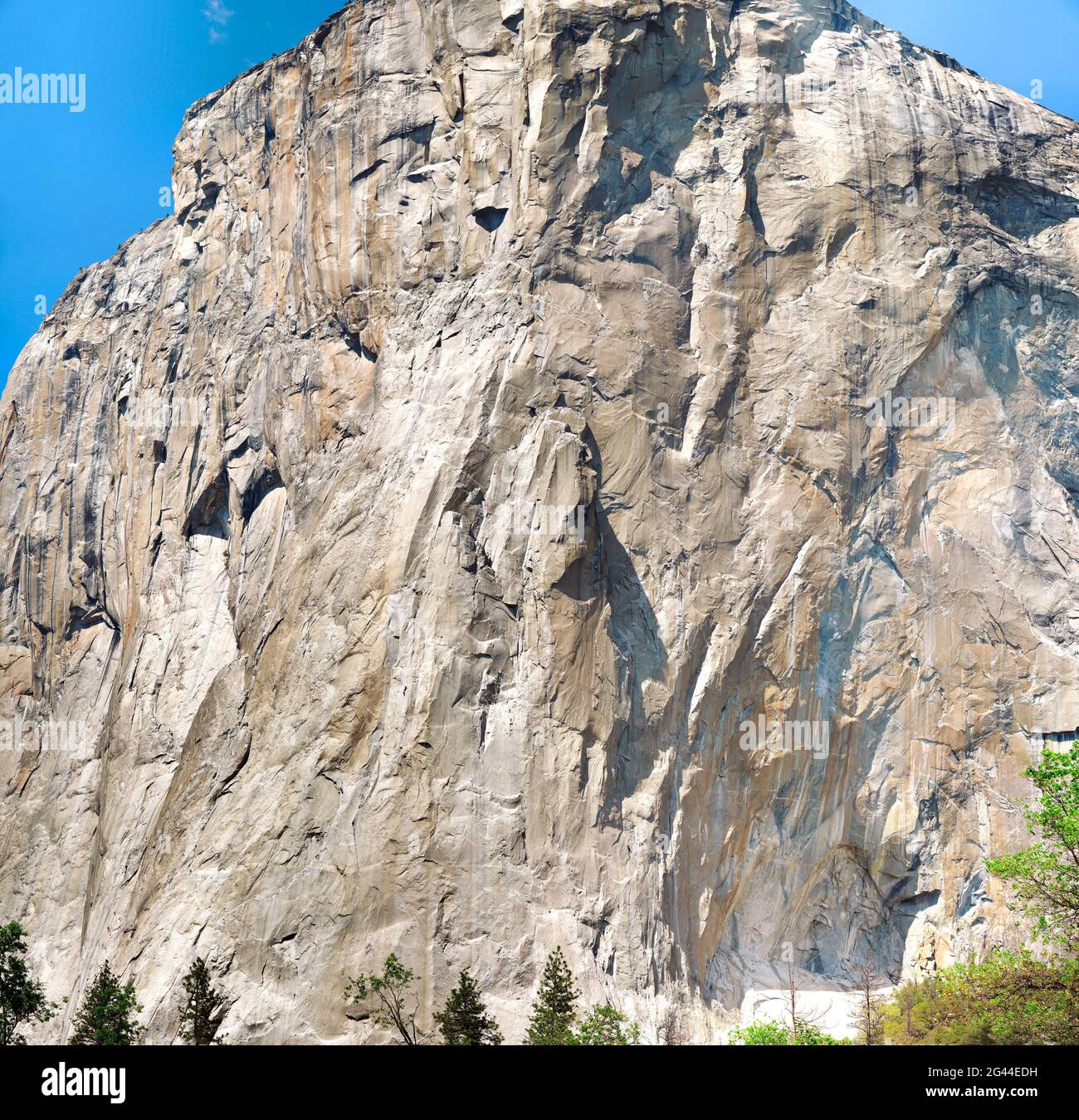 Formación rocosa El Capitan, Valle Yosemite, Parque Nacional Yosemite, California, Estados Unidos Foto de stock