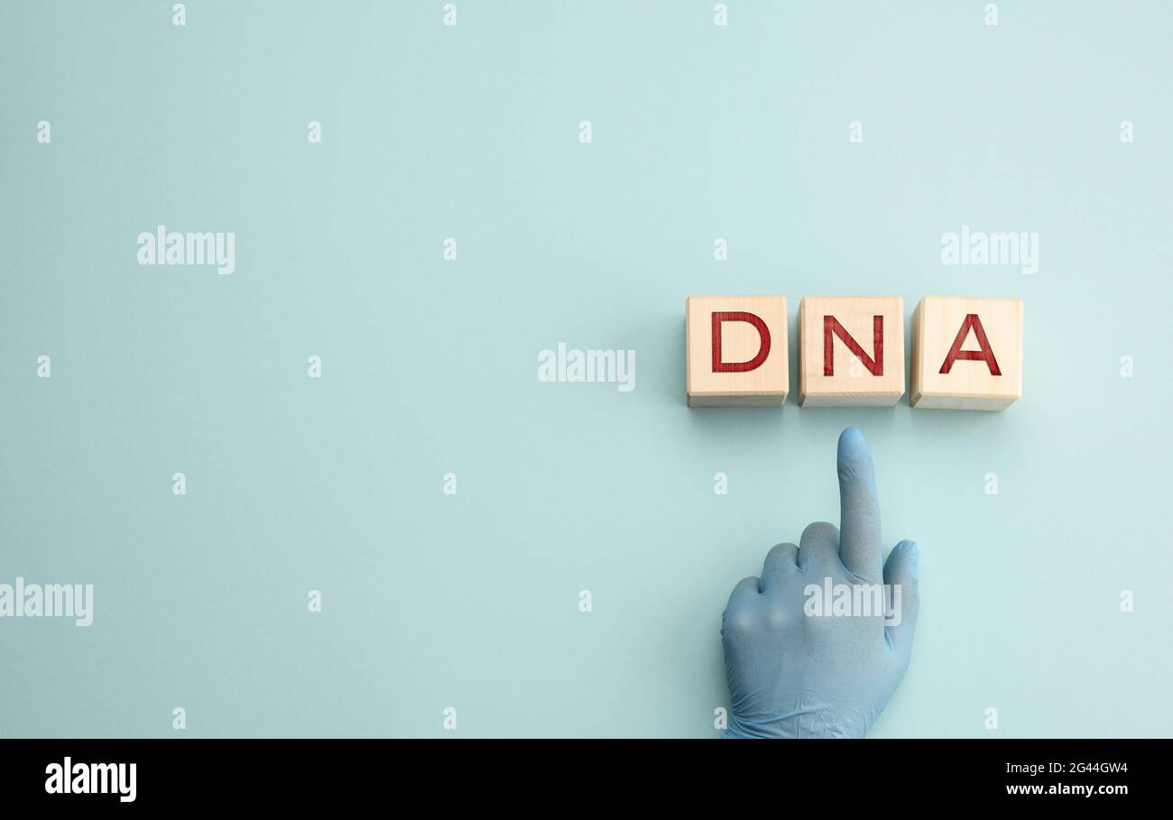 Abreviatura ADN en bloques cuadrados de madera. Una mano en un guante azul apunta a un objeto Foto de stock