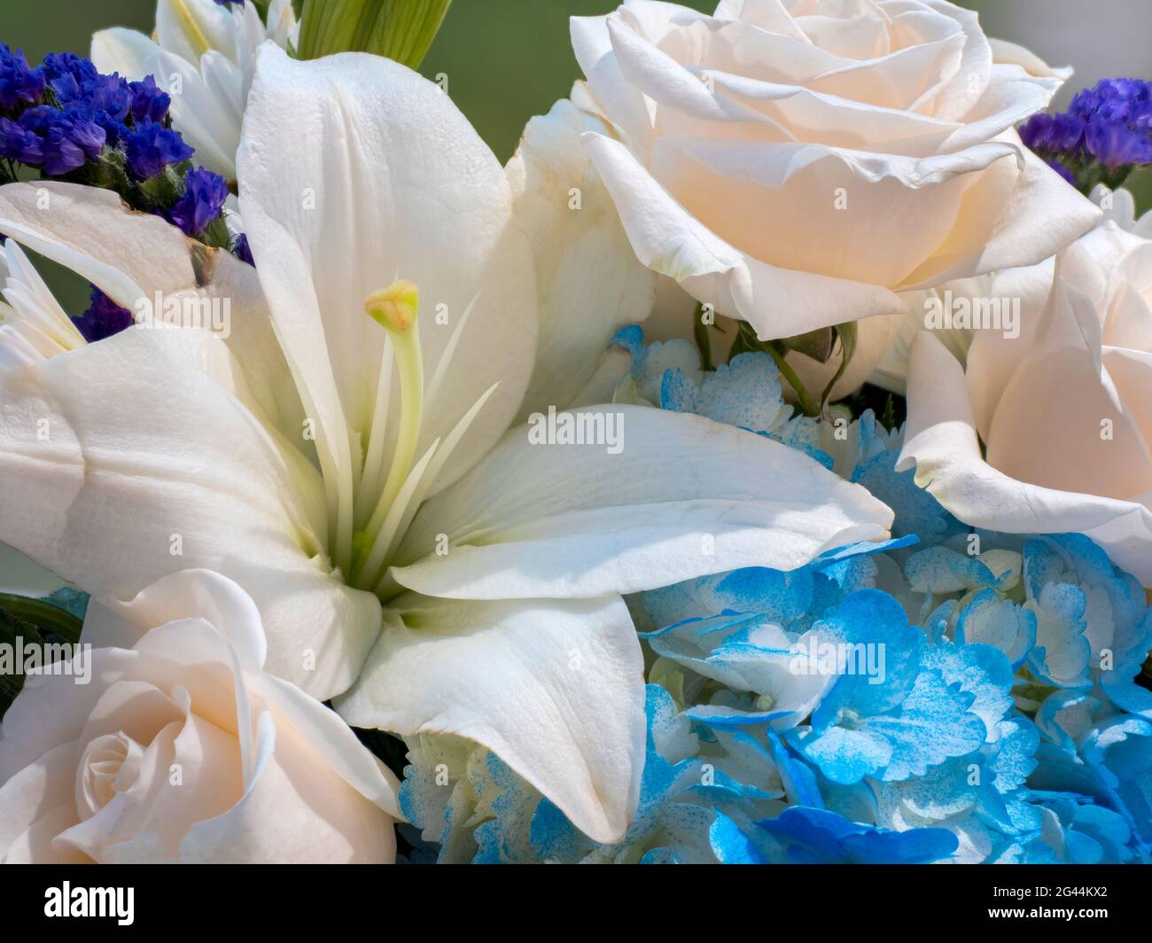 Arreglo floral de lirios blancos y rosas Foto de stock