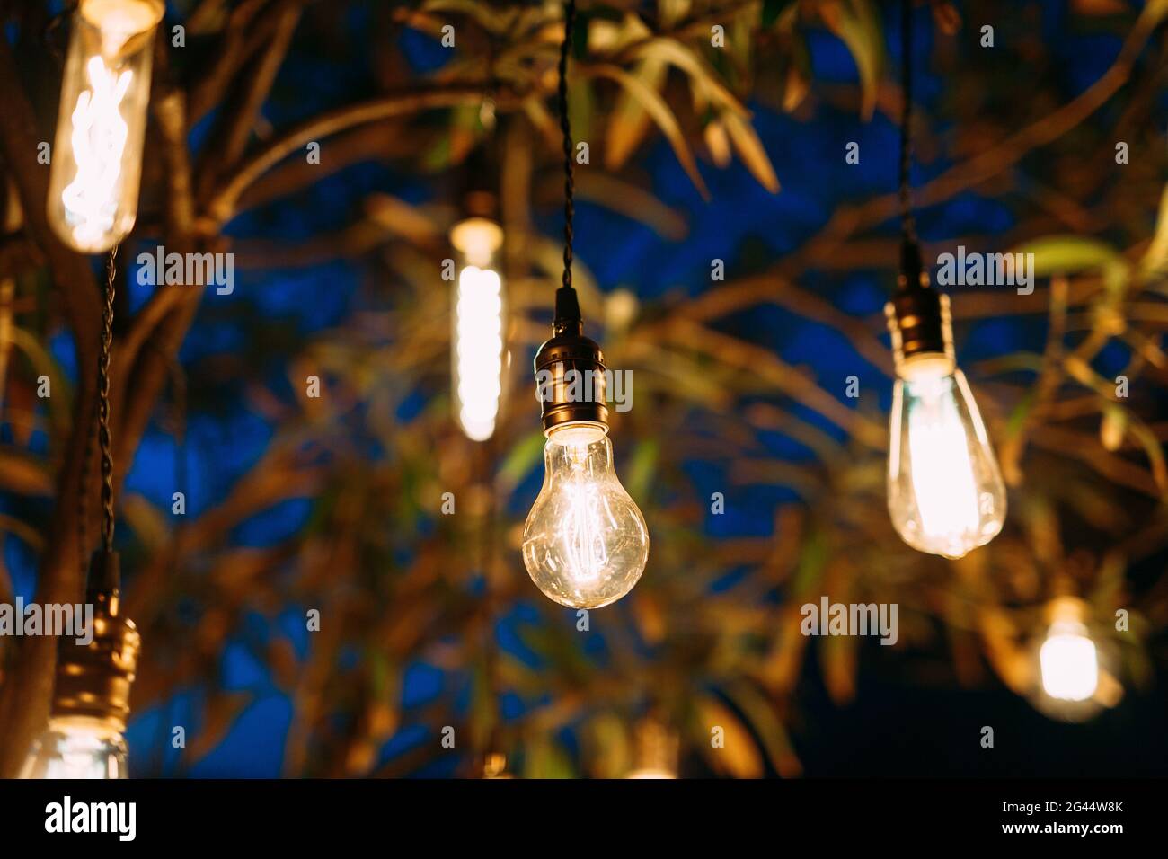 Guirnaldas retro. LED-lámparas de noche bajo un árbol Fotografía de stock -  Alamy