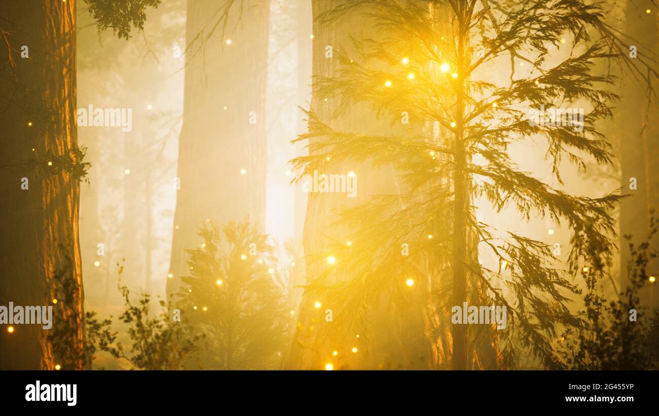 Luces de fantasía luciérnagas en el bosque mágico Fotografía de stock -  Alamy