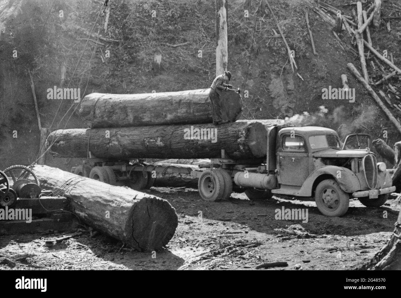 Los troncos en el camión llegan al estanque, Tillamook, Oregon, 1941 de octubre Foto de stock