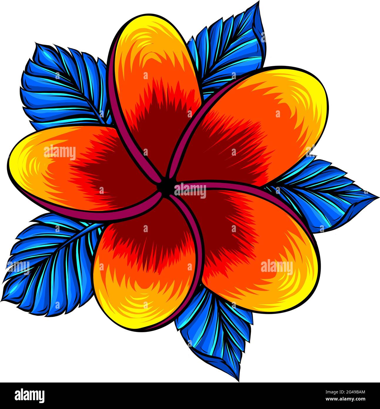 ilustración vectorial de la flor de frangipani aislada sobre blanco Ilustración del Vector