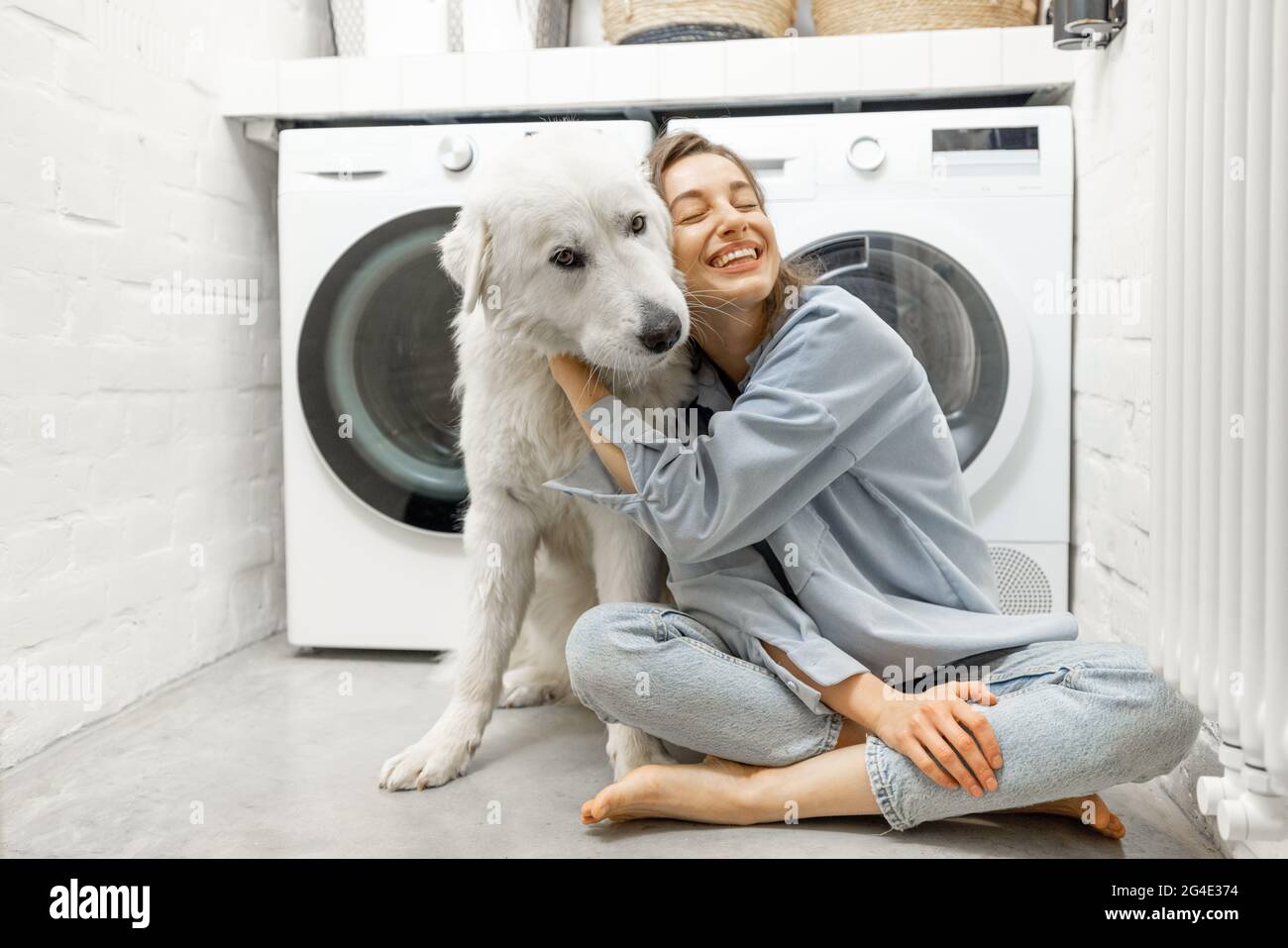 poses de perro pedigrí en la lavandería con lavadora y pila de ropa sucia  en la cesta. interior de la habitación doméstica. pared blanca. plancha  para planchar ropa limpia 9262346 Foto de