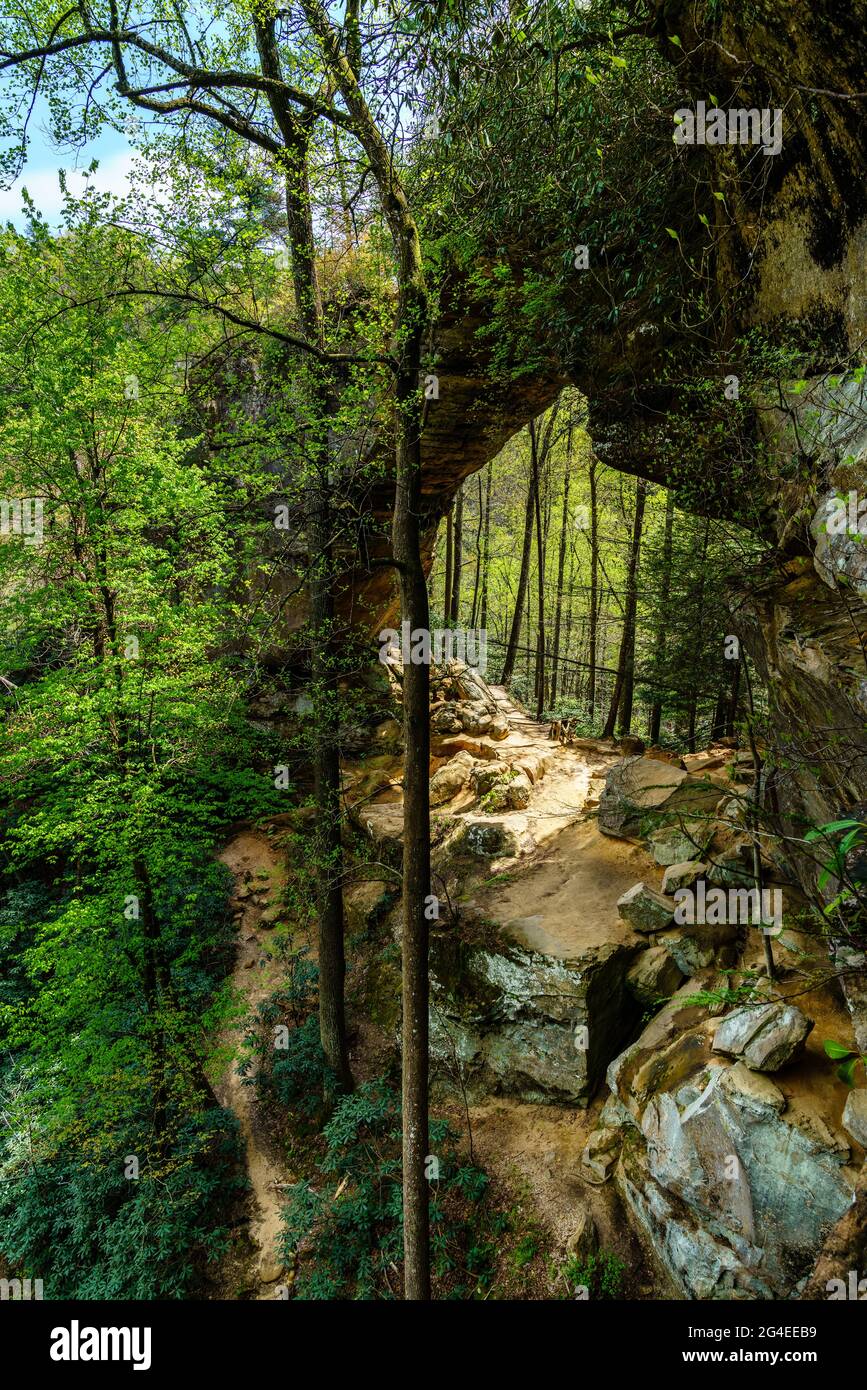 Vista panorámica de Grays Arch en Red River Gorge en Kentucky Foto de stock