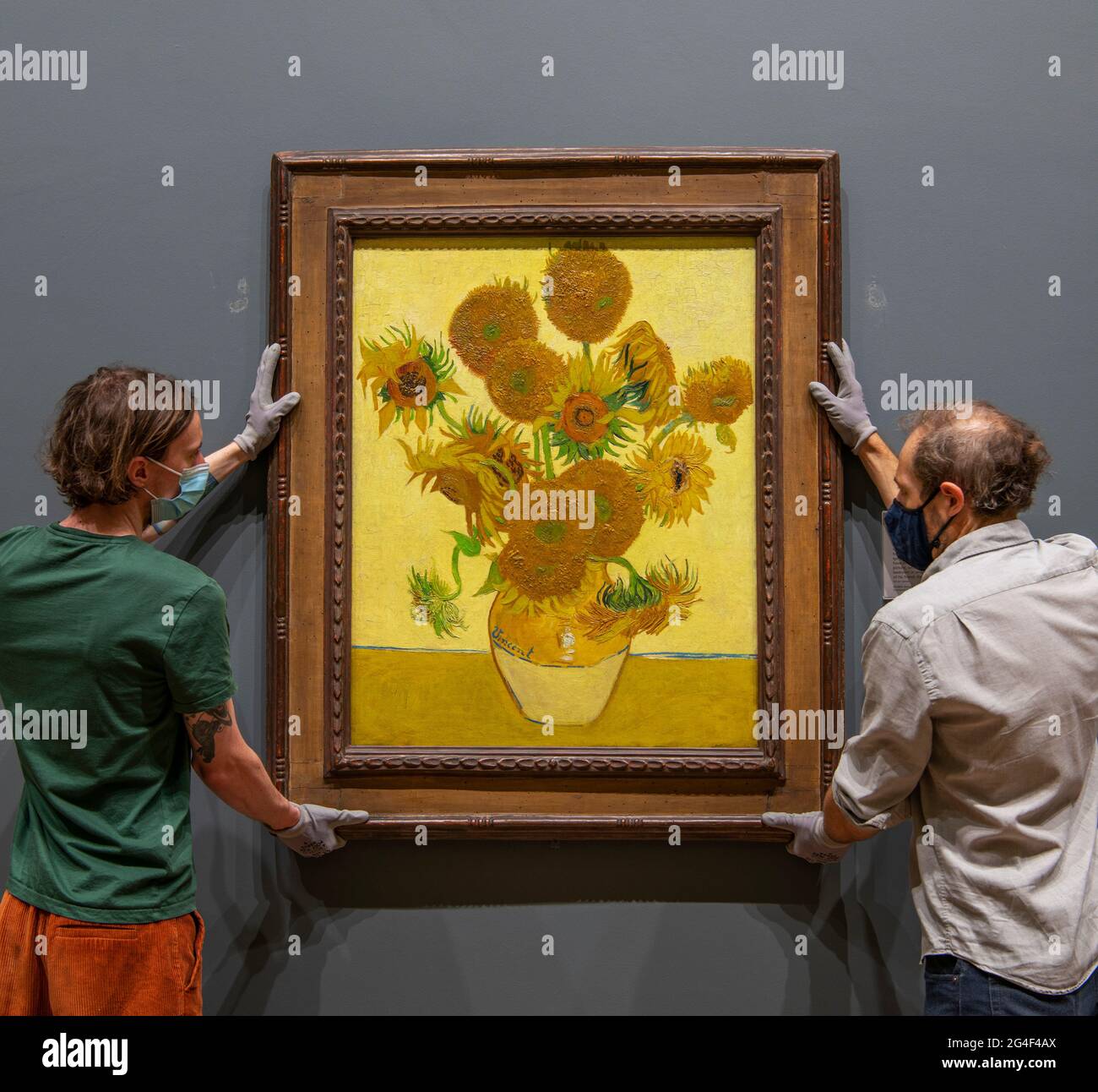 La National Gallery, Londres, Reino Unido. 21 de junio de 2021. Los manipuladores de arte de la Galería Nacional rehang el Vincent van Gogh Sunflowers, pintado 1888, temprano el lunes 21st de junio por la mañana, el solsticio de verano, antes de que la Galería se abra. La obra maestra de Van Gogh ha llegado a casa de la galería después de haber estado en una gira mundial de 16 meses a Japón y Australia. Crédito: Malcolm Park/Alamy Live News. Foto de stock