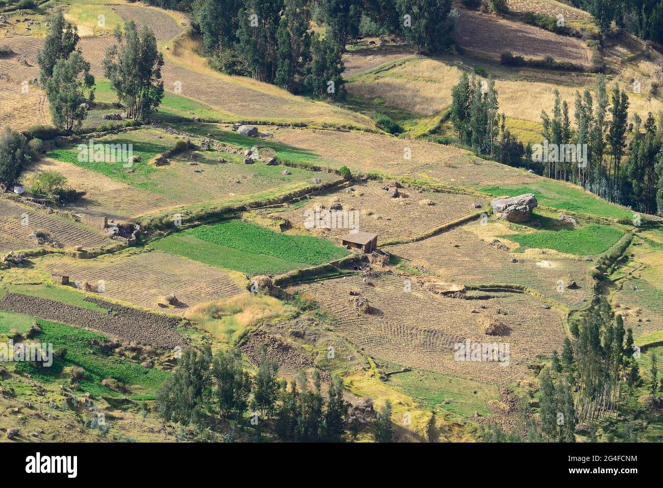Campos de cultivo en Valle Sagrado, Pisac, región de Cusco, provincia de Urubamba, Perú Foto de stock