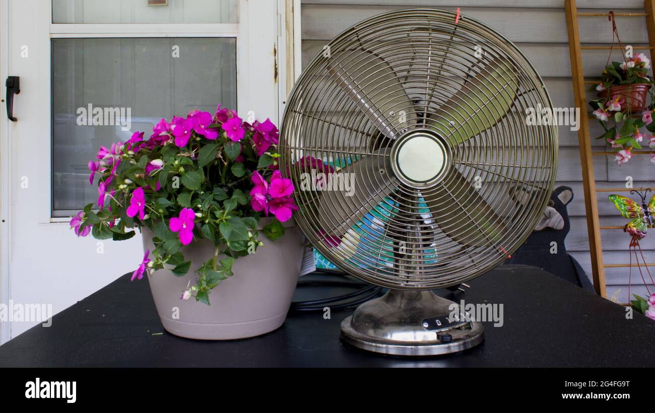 Un ventilador oscilante y una flor en una mesa al aire libre en el verano  Fotografía de stock - Alamy