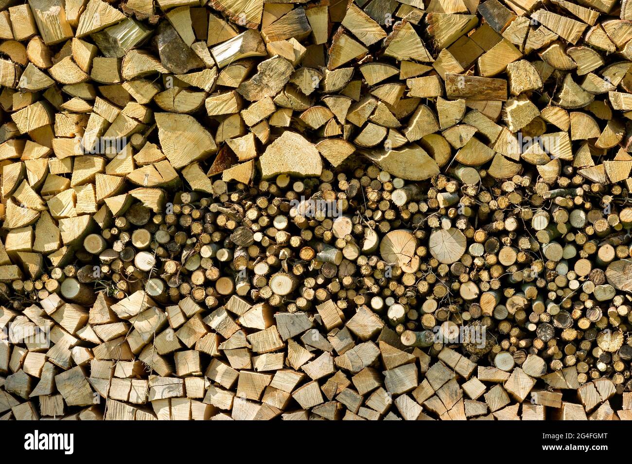 Troncos apilados, leña, pila de madera, Alemania Foto de stock