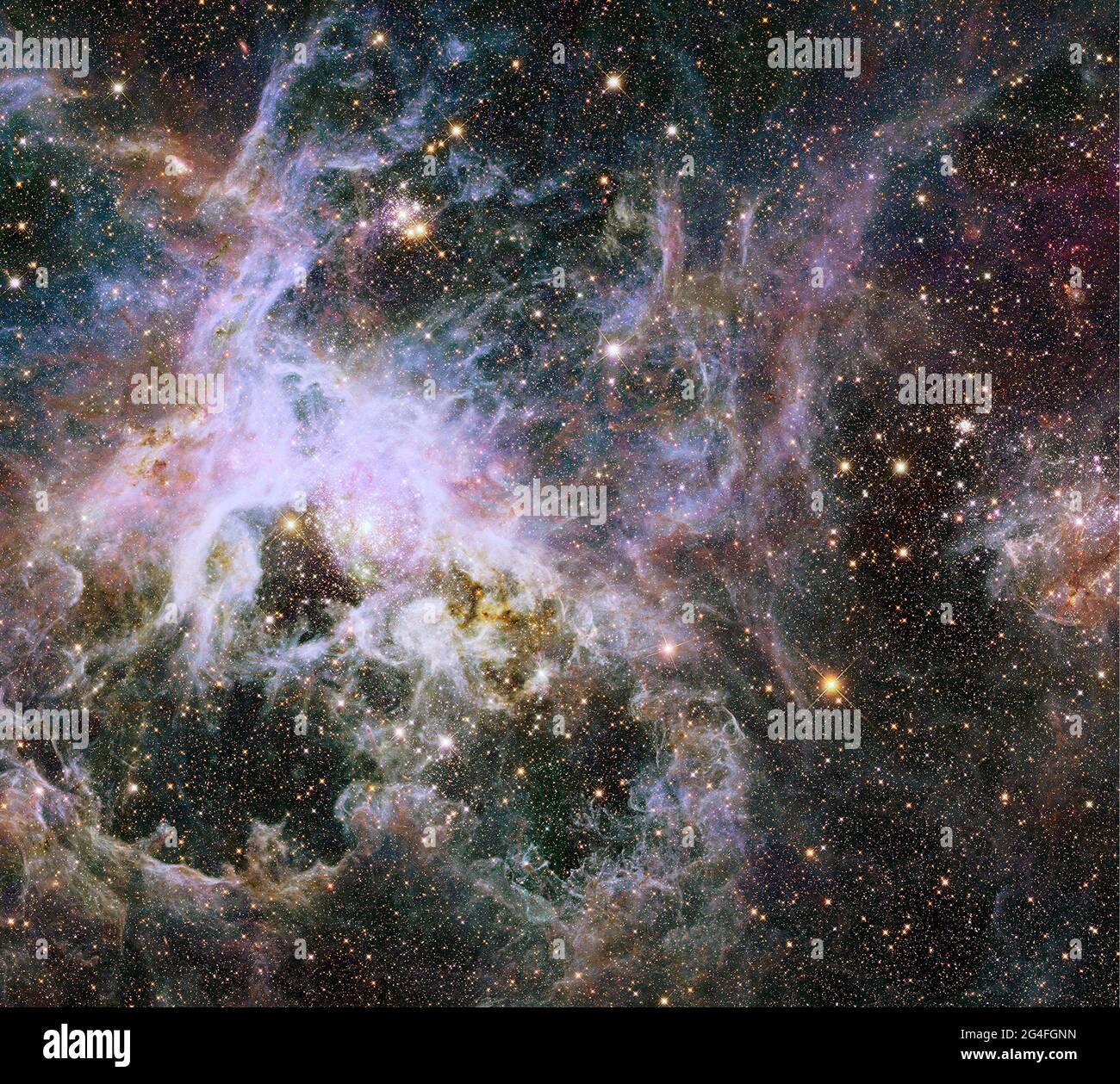 TRANTULAR NEBULA, ESPACIO EXTERIOR - 09 de enero de 2014 - Al igual que levantar un velo gigante, la visión casi infrarroja del Telescopio Espacial Hubble de la NASA descubre un daz Foto de stock