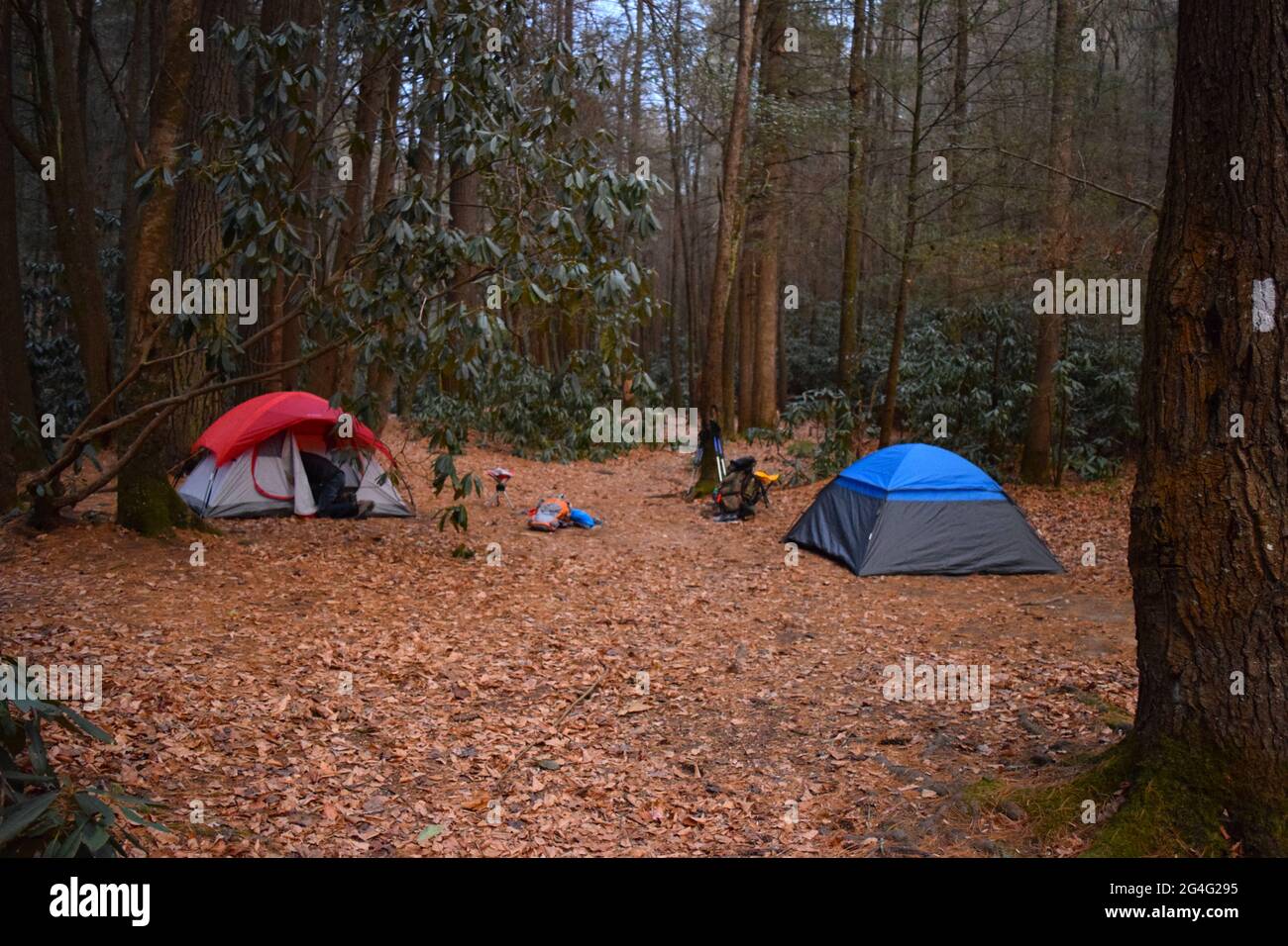 Campamento con tiendas de campaña, taburete de campamento y mochilas en la ruta Appalachian Trail en Georgia durante el viaje de acampada de otoño Foto de stock