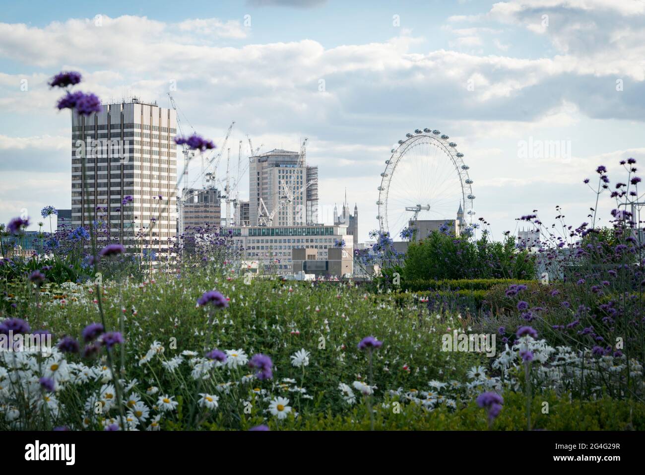 El jardín de la azotea Hachette con vistas al río Támesis en Londres, Inglaterra Foto de stock