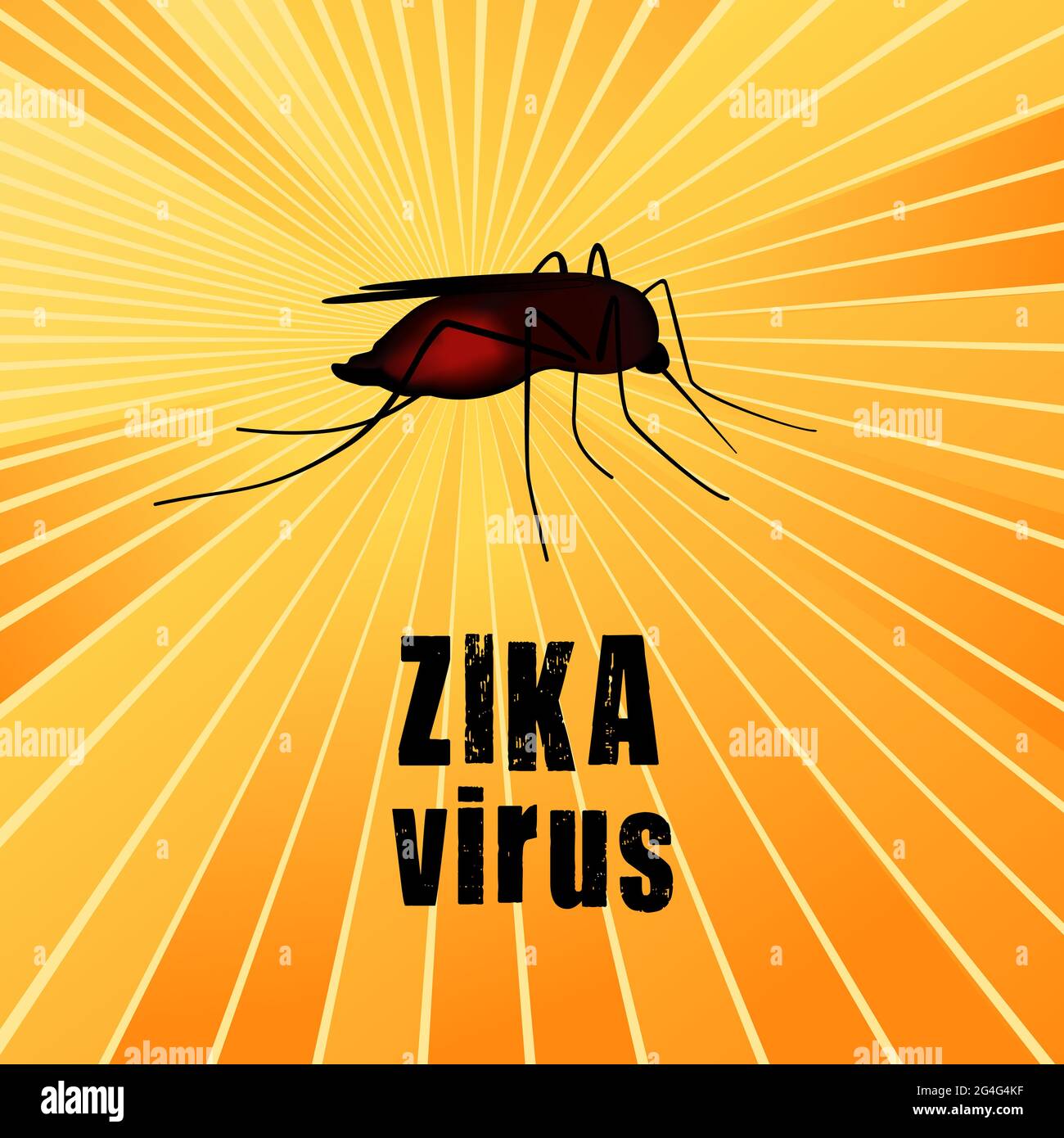 Virus del Zika, mosquito, insecto mordedura lleno de sangre, riesgo para la salud pública, vector de enfermedades infecciosas, antecedentes de rayos solares Foto de stock