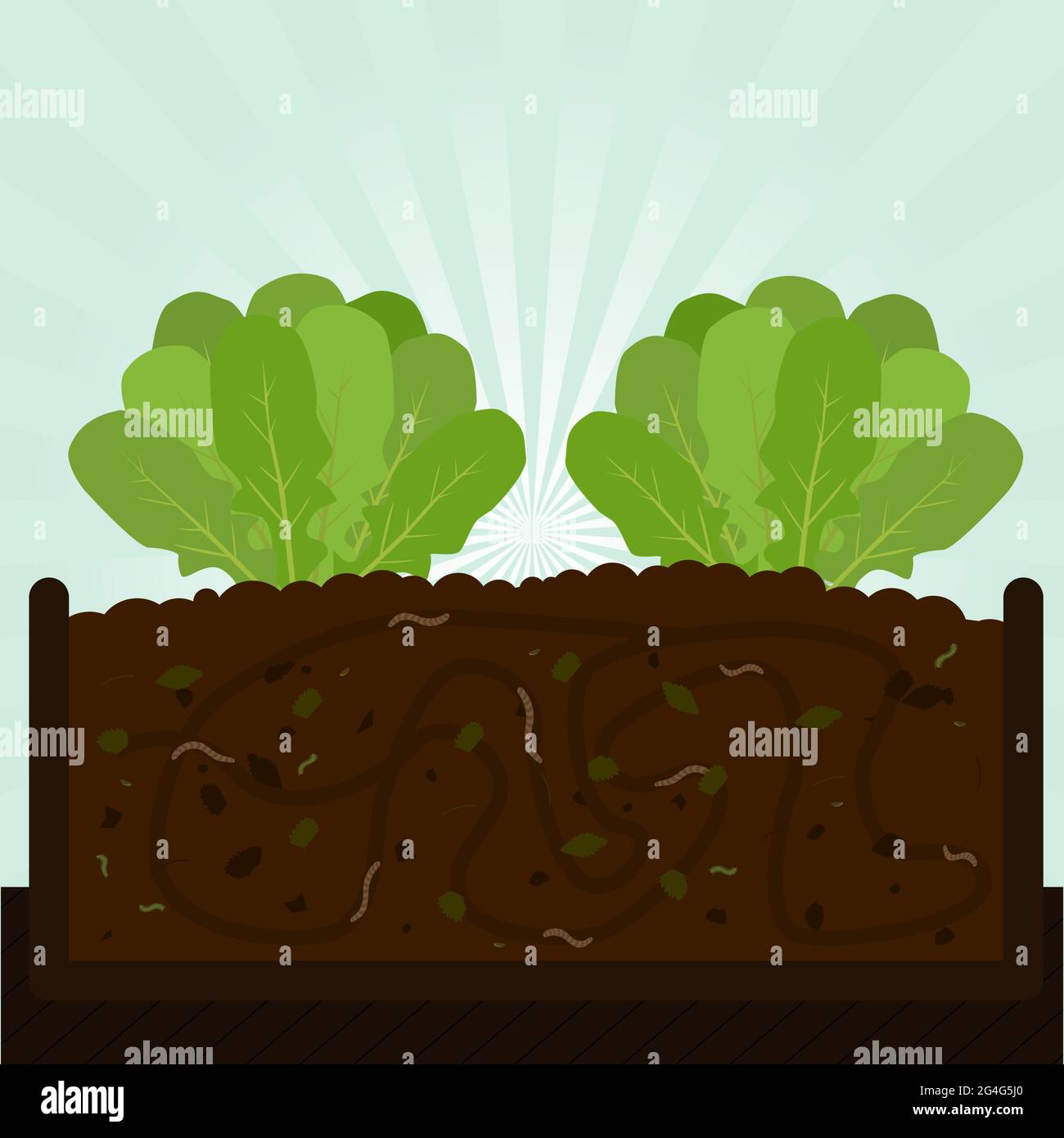 Árbol de rúcula. Proceso de compostaje con materia orgánica, microorganismos y lombrices de tierra. Hojas caídas en el suelo. Ilustración del Vector