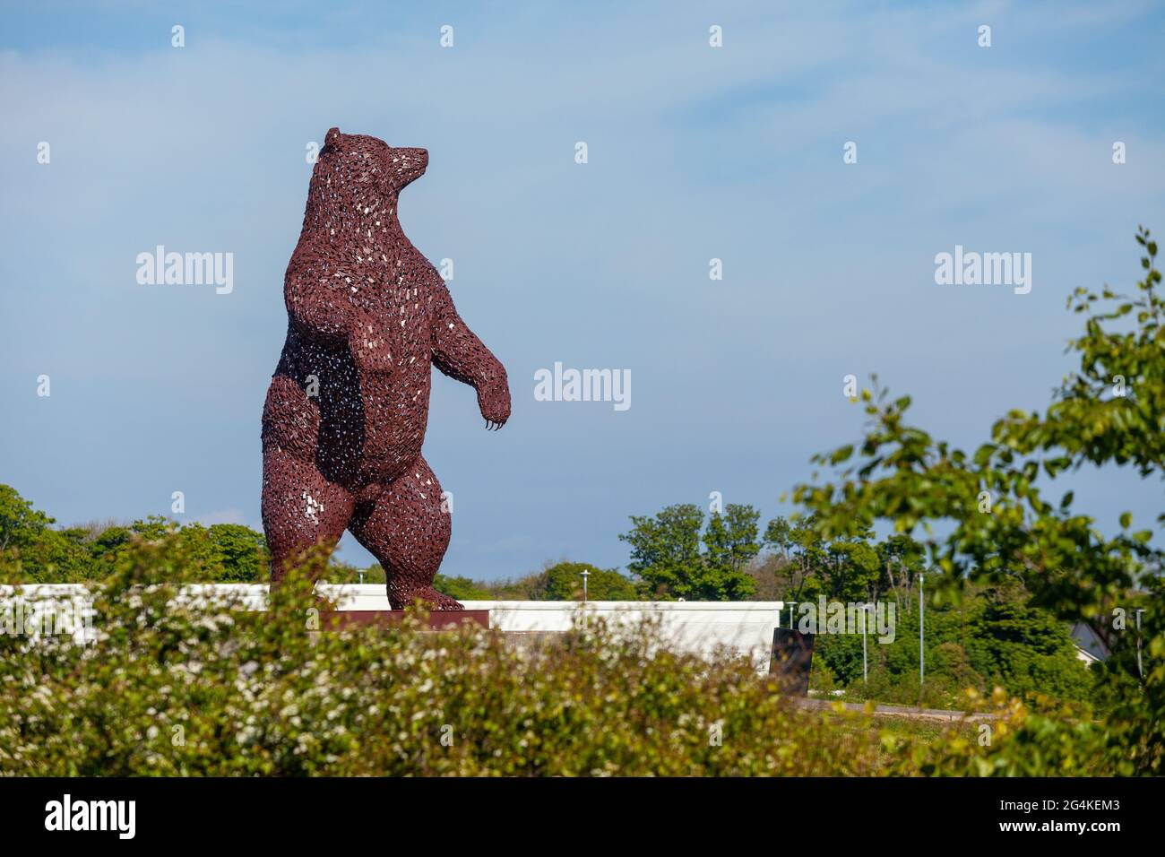 La obra de arte de Dunbar Bear del escultor escocés Andy Scott es un