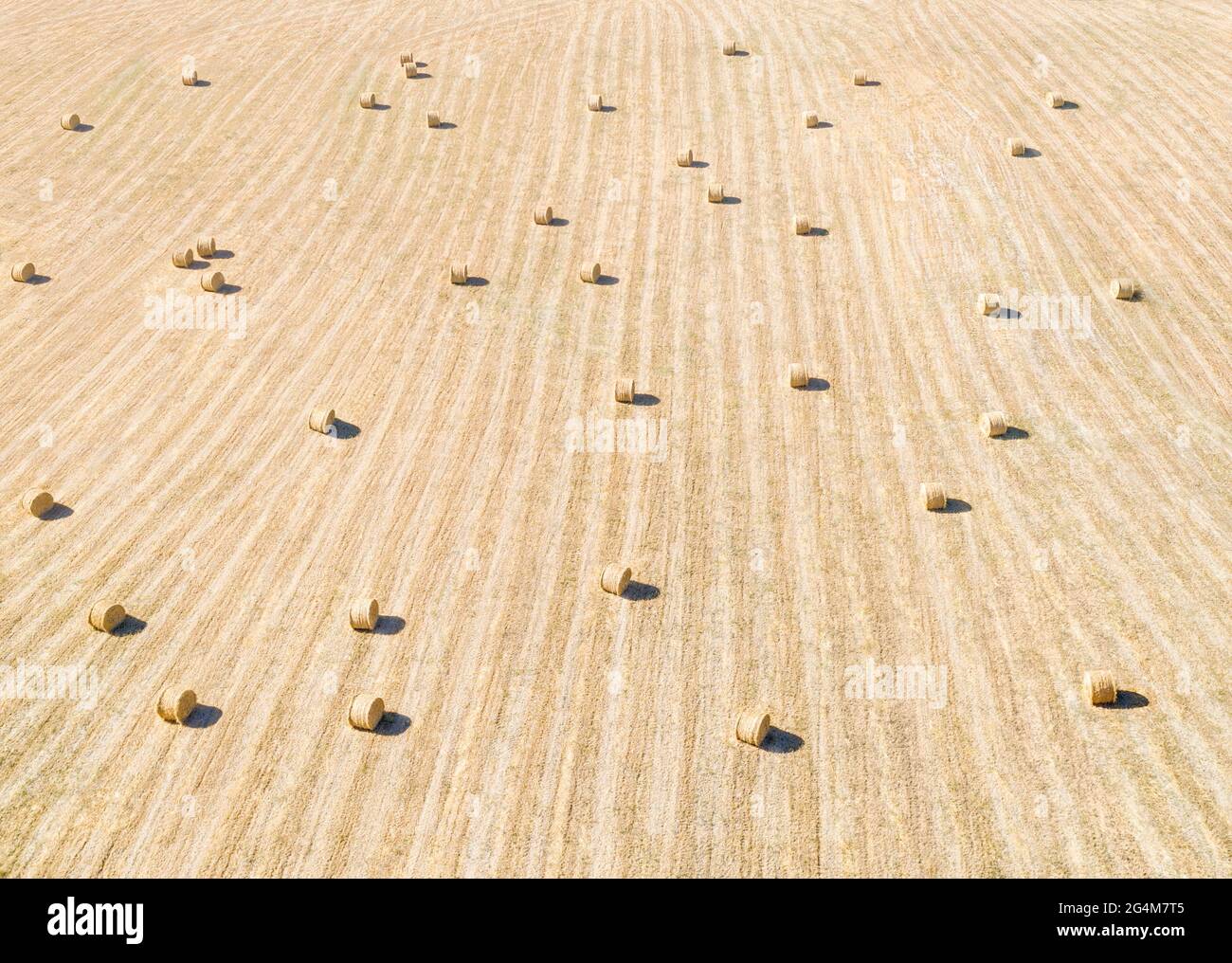 Campo de heno a distancia, panorama aéreo con patrón rayado y fardos de heno en una hilera Foto de stock