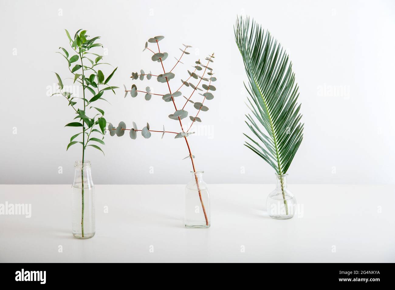 Hoja de palma eucalipto y ramita de verdor en jarrones de vidrio sobre