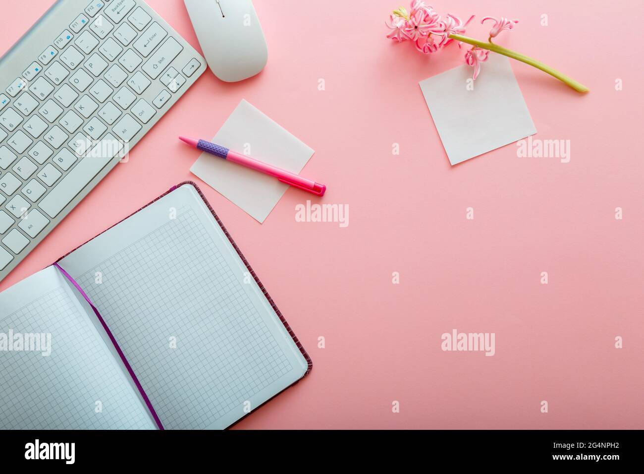 Escritorio rosa. Espacio de trabajo Mesa de oficina con teclado de  ordenador y diseño de fondo de bloc de notas de ratón. Mesa de oficina con  vista a la parte superior con