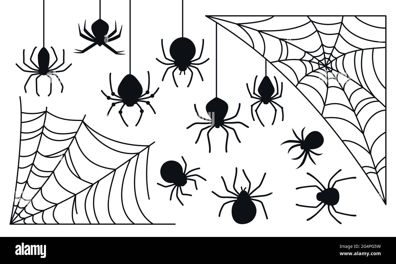 Cobweb y araña Halloween negro silueta conjunto. Arañas espeluznantes miedo  tela peligrosa colección plana. Feliz Halloween Web horror decoración.  Vector venenoso o peligroso de aracnida Imagen Vector de stock - Alamy