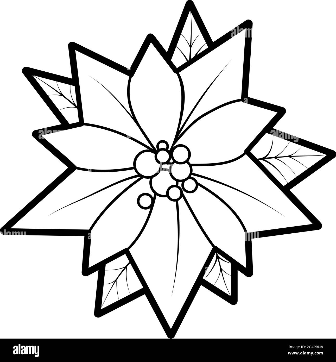 Libro de Navidad para colorear o página para niños. Poinsettia ilustración  vectorial en blanco y negro Imagen Vector de stock - Alamy