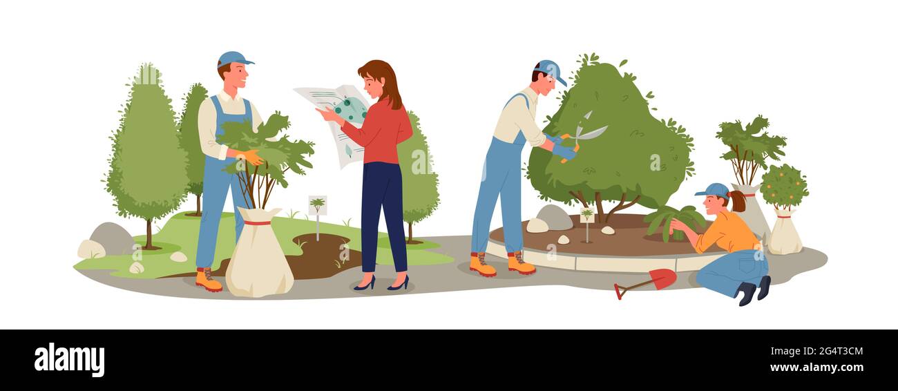 Jardinería, trabajo agrícola en el cultivo de arbustos, trabajadores plantando árboles Ilustración del Vector