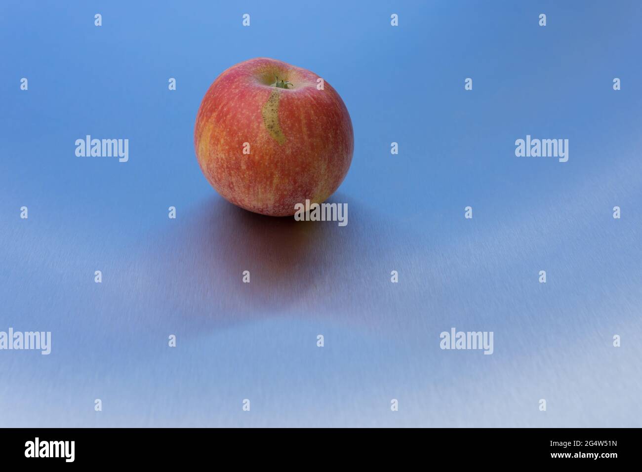 manzana natural madura minimalista y reflexión sobre fondo azul limpio metálico frutas minimalistas Foto de stock