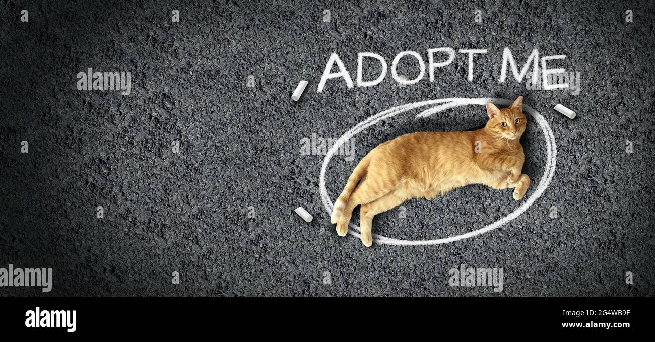 Adopción de mascotas y adopción de mascotas o adopciones de gatos o de rescate de la conciencia de refugio de animales como felino acostado en asfalto de la calle con dibujo de tiza. Foto de stock