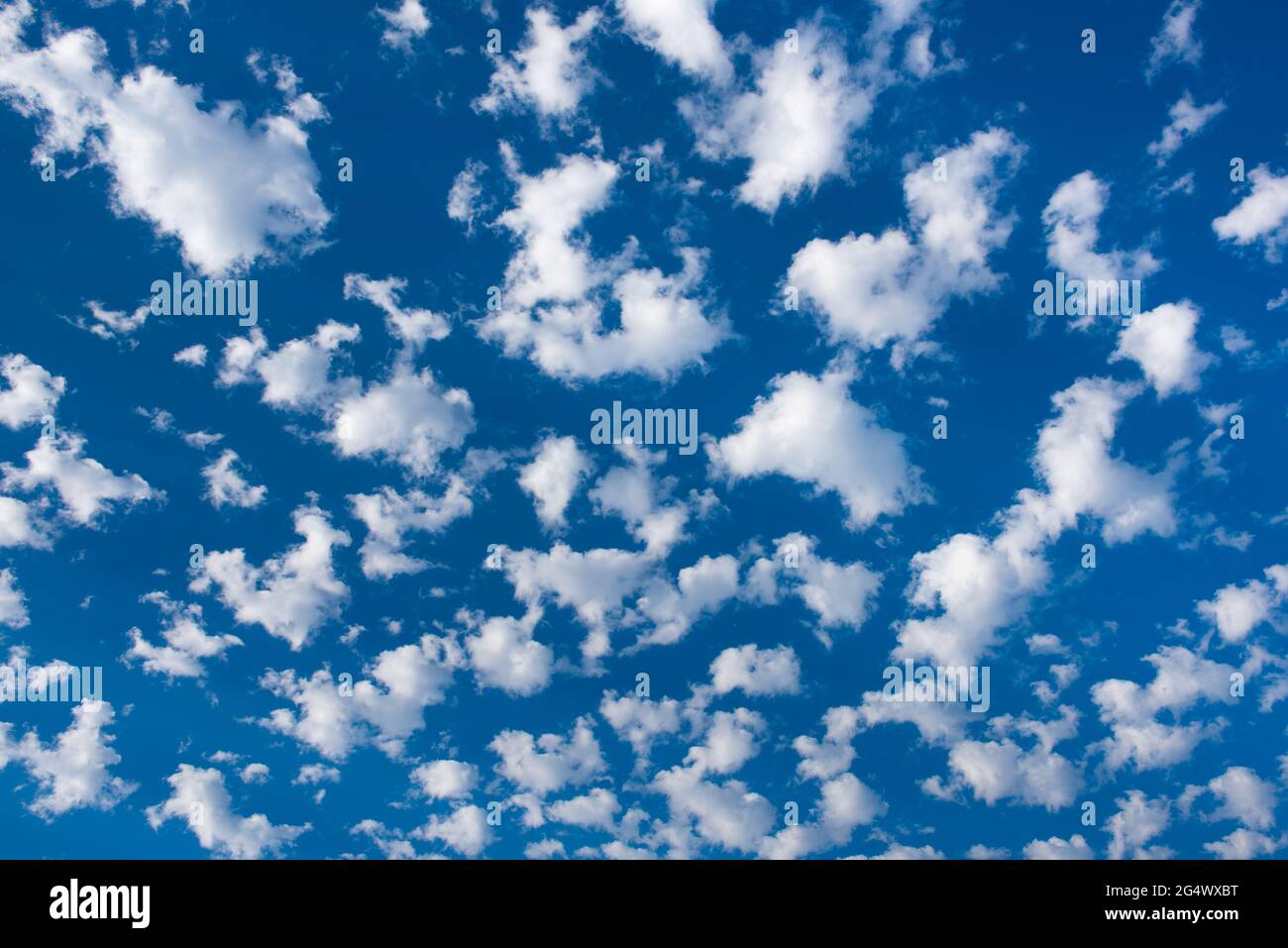 Fotos de stock para los sitios web de la revista meteorológica parcialmente nublado cielo azul. Bolas hinchadas nubes de algodón Foto de stock