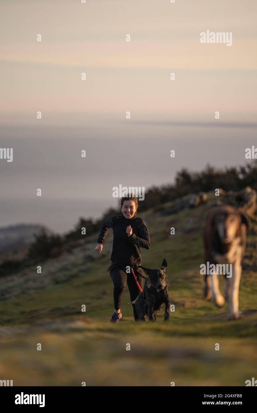 Mujer joven corriendo con perros en estilo canicross Foto de stock