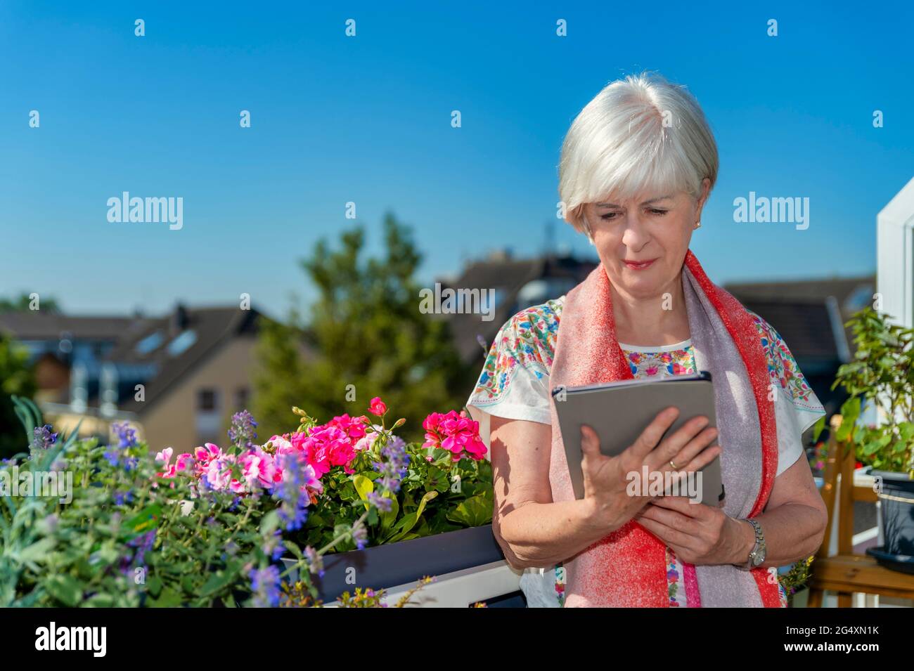 Mujer mayor que utiliza tableta digital en balcón por las plantas Foto de stock