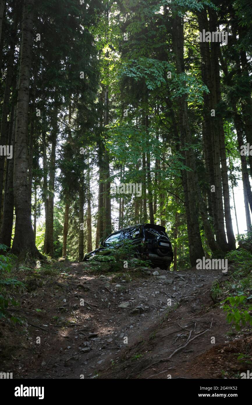Increíbles destinos fuera de carretera. El coche se encuentra en una colina en el bosque, rodeado de árboles altos. Aventura en terreno accidentado. El follaje está atado con Foto de stock