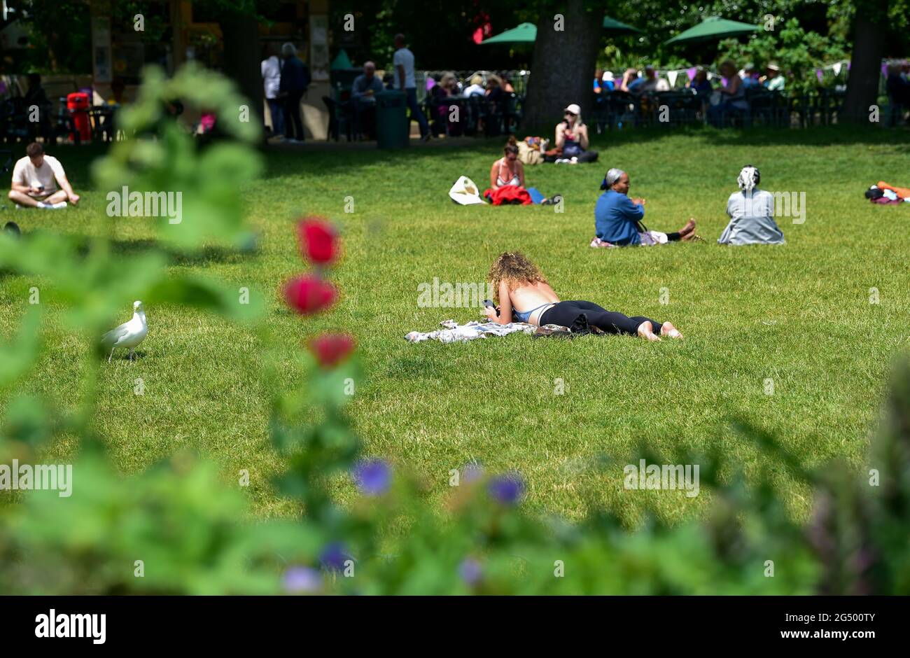 Brighton UK 24th Junio 2021 - Los bañistas disfrutan de un descanso en Pavilion Gardens Brighton en un hermoso y cálido día soleado. : Crédito Simon Dack / Alamy Live News Foto de stock