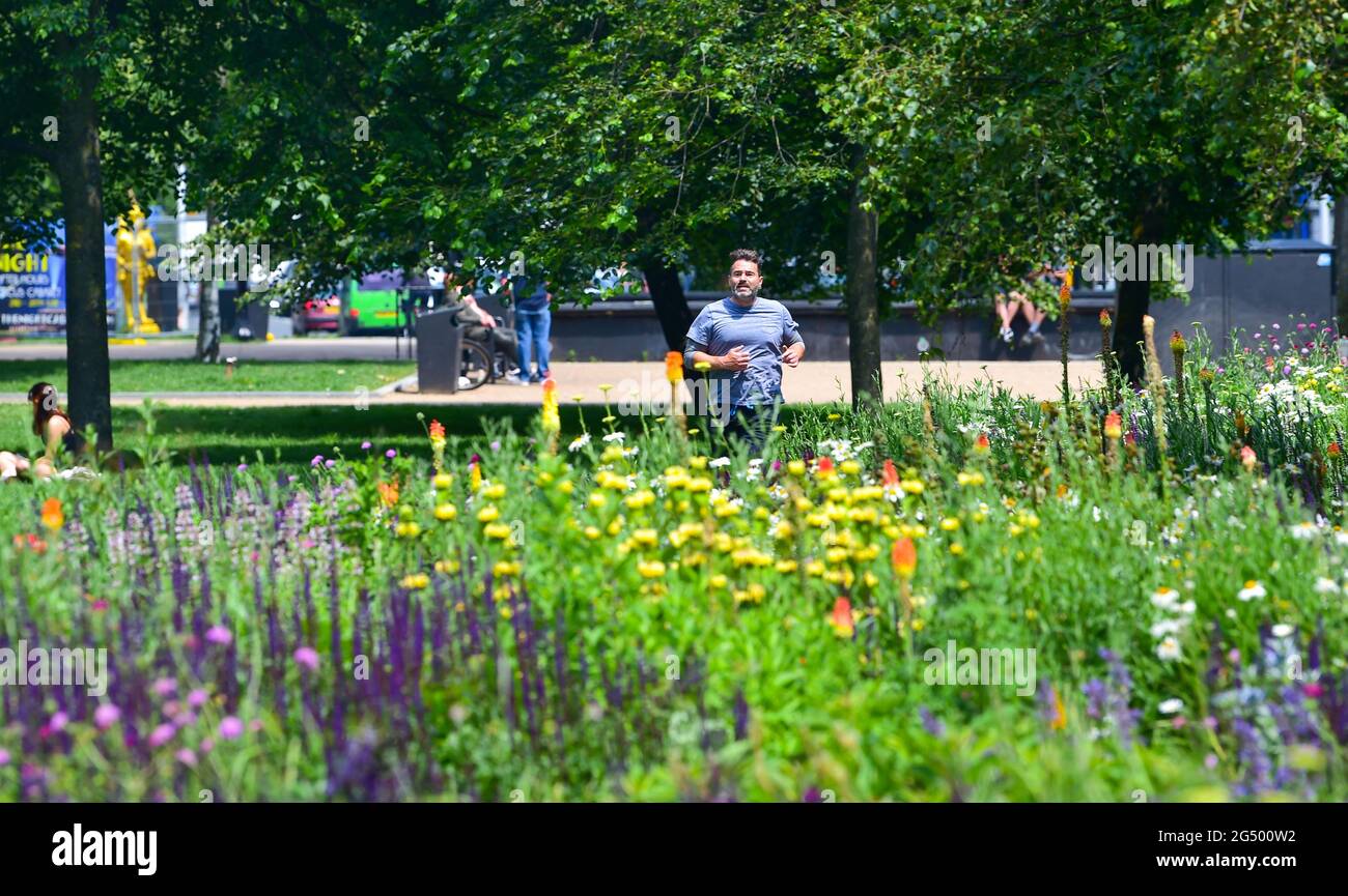 Brighton Reino Unido 24th Junio 2021 - Un corredor pasa por las flores en Valley Gardens Brighton en un hermoso y cálido día soleado. : Crédito Simon Dack / Alamy Live News Foto de stock