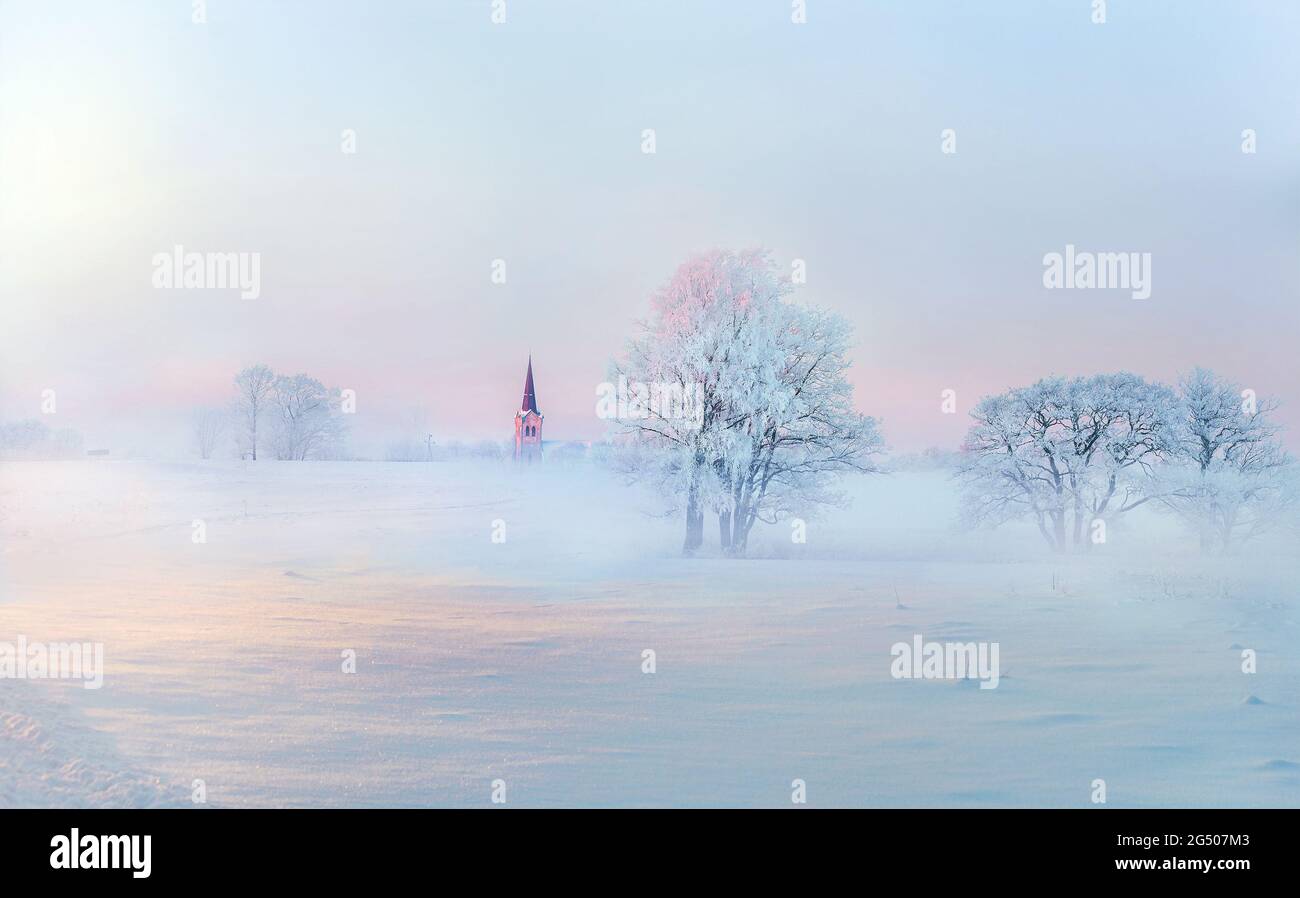 Invierno suave paisaje con árboles helados y niebla helada en el área rural a primera hora de la mañana Foto de stock