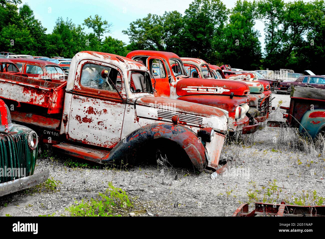 Camiones oxidados en junkyard, Minnesota, Estados Unidos Foto de stock
