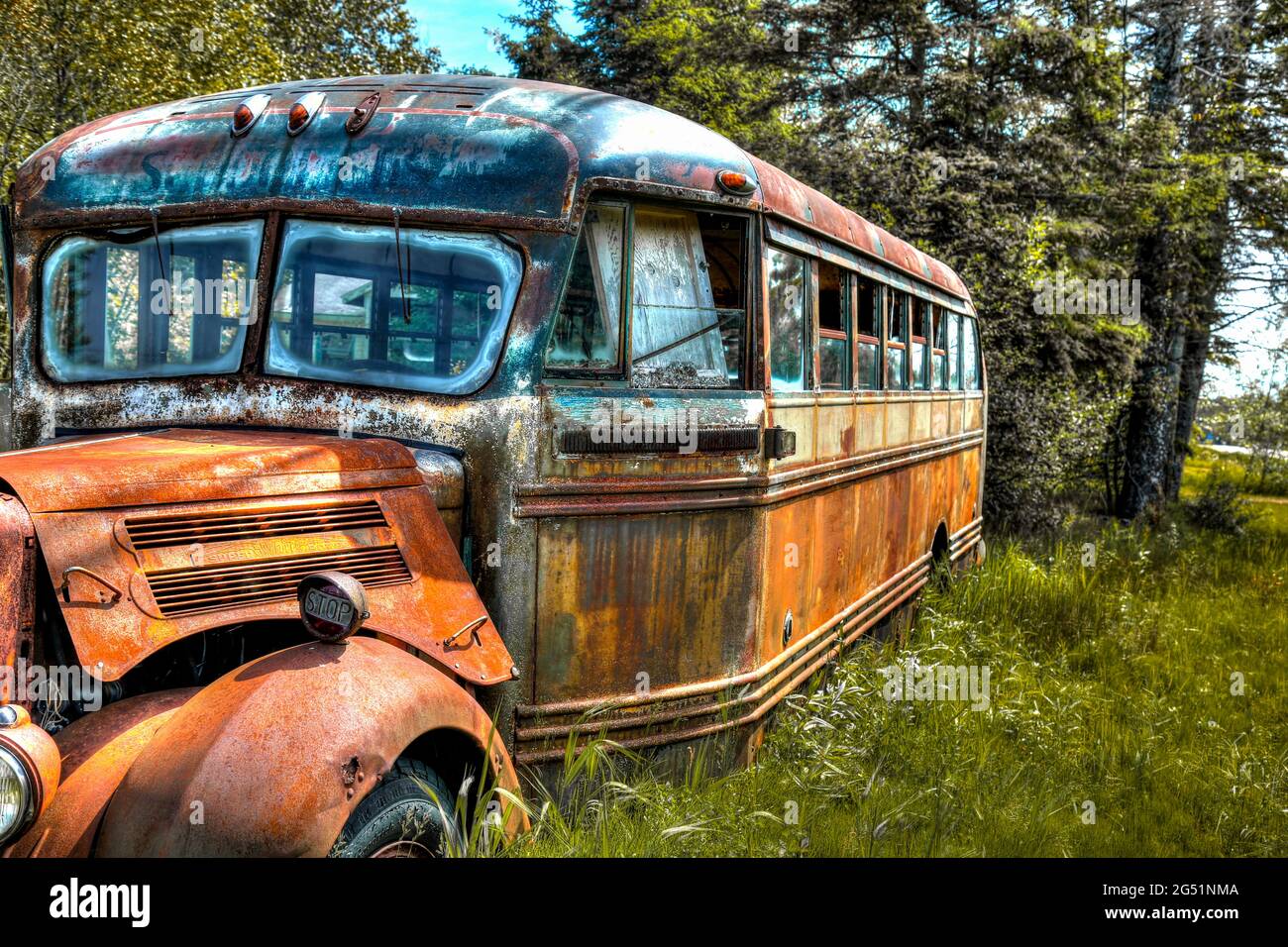 Abandonado viejo autobús oxidado en la hierba Foto de stock