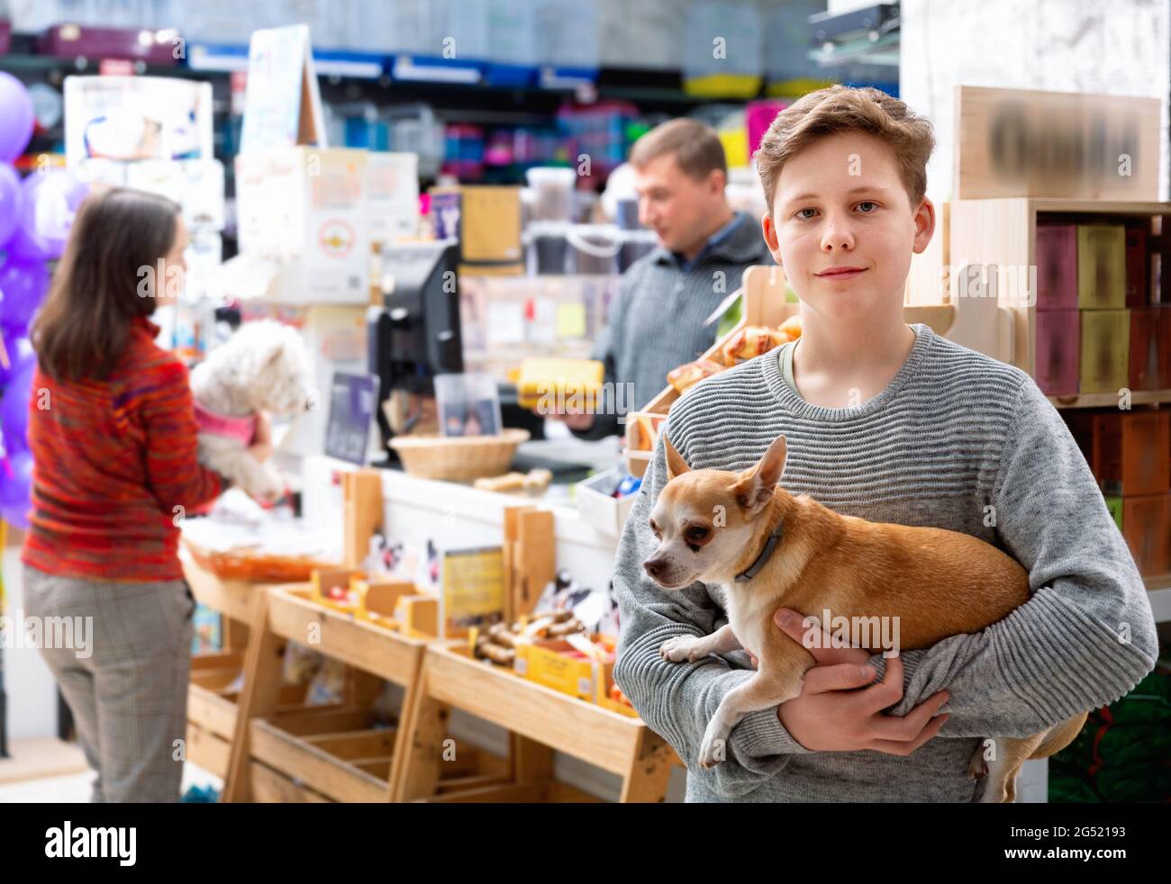 Guy elige la comida seca para el perro chihuahua en la tienda de mascotas  Fotografía de stock - Alamy