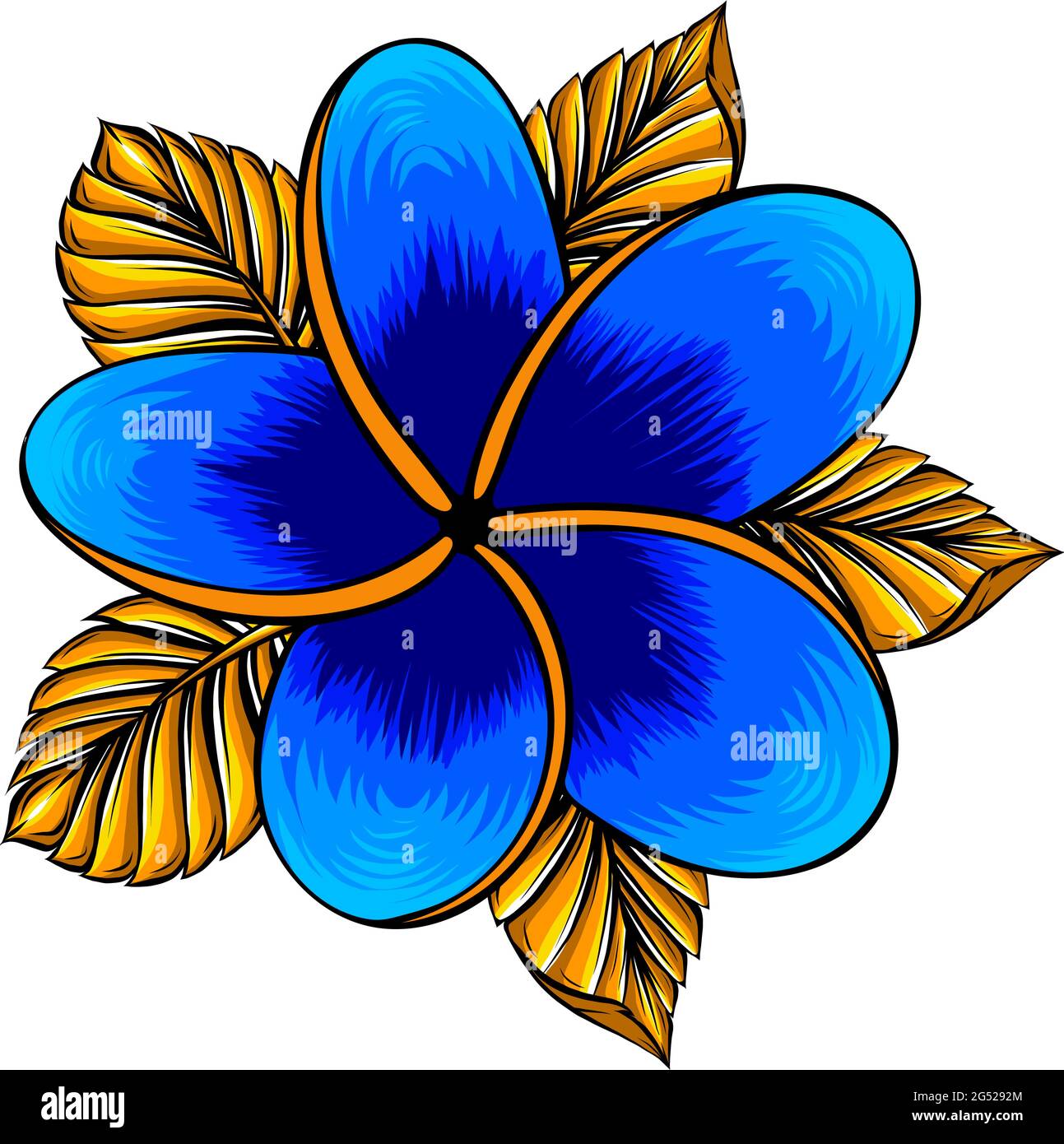 ilustración vectorial de la flor de frangipani aislada sobre blanco Ilustración del Vector