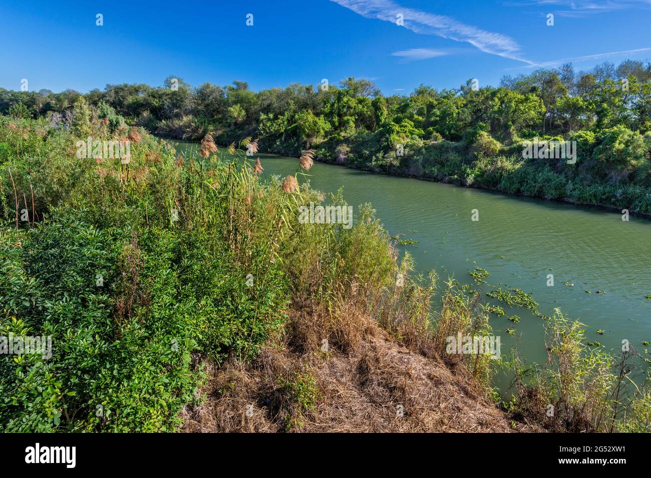 Rio Grande Lado Mexicano A Distancia Punto De Vista En Sabal Palm Grove Sanctuary Cerca De Brownsville Rio Grande Valley Texas Estados Unidos Fotografia De Stock Alamy Rio Grande Lado Mexicano A Distancia Punto De Vista En Sabal Palm Grove Sanctuary Cerca De Brownsville Rio Grande Valley Texas Estados Unidos Fotografia De Stock Alamy