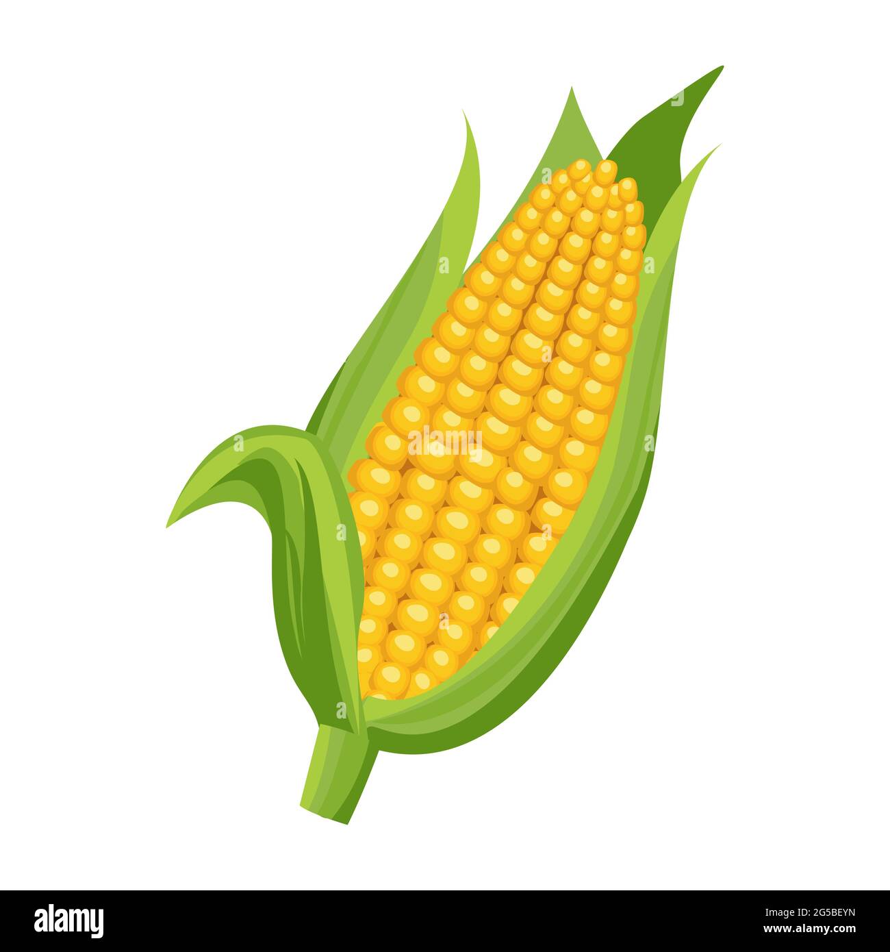 Ilustración de vector de dibujos animados objeto aislado alimento fresco  vegetal maíz dulce Imagen Vector de stock - Alamy