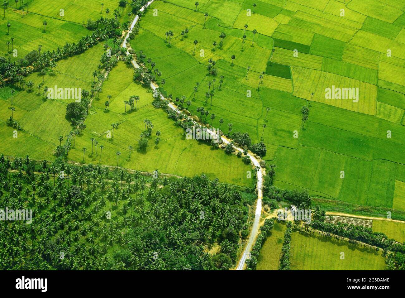 Kakinada, abril de 10,2007 Vista aérea de arrozales verdes, arrozales